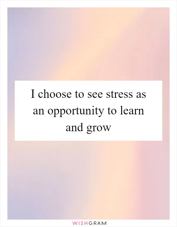 I choose to see stress as an opportunity to learn and grow