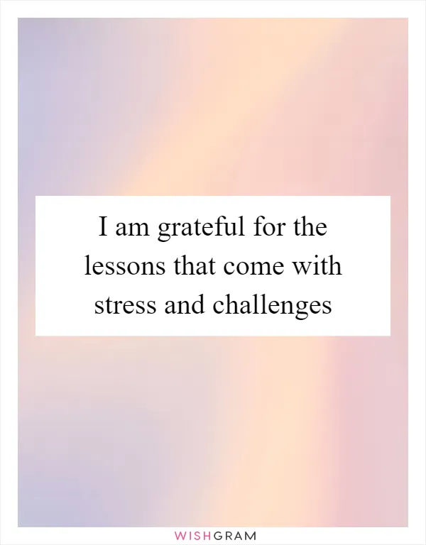 I am grateful for the lessons that come with stress and challenges