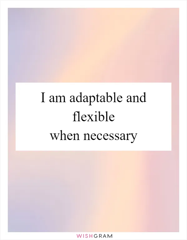 I am adaptable and flexible when necessary
