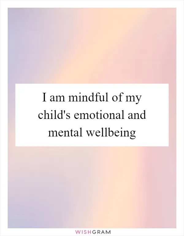 I am mindful of my child's emotional and mental wellbeing
