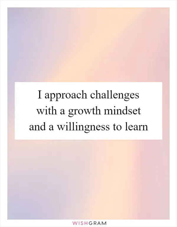 I approach challenges with a growth mindset and a willingness to learn