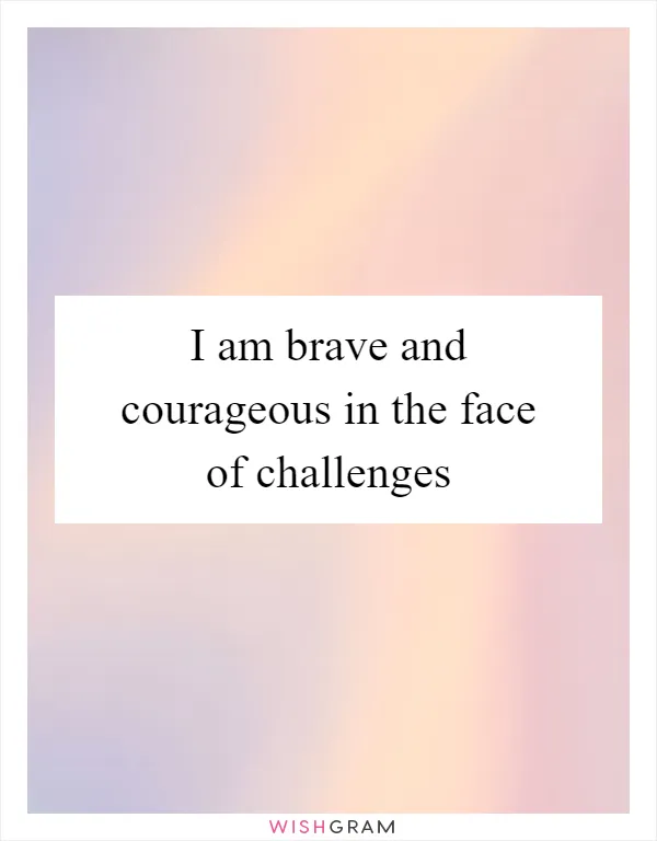 I am brave and courageous in the face of challenges