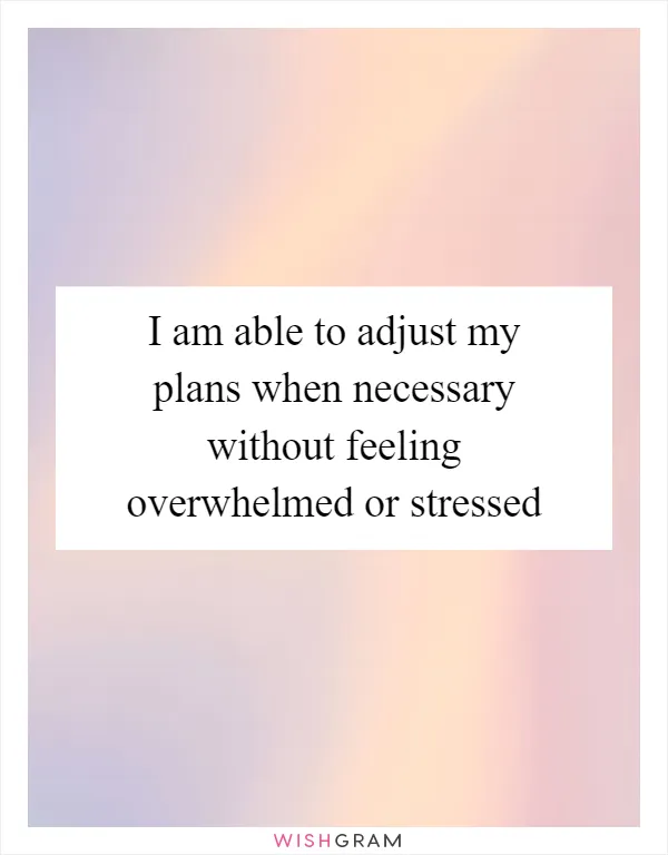 I am able to adjust my plans when necessary without feeling overwhelmed or stressed