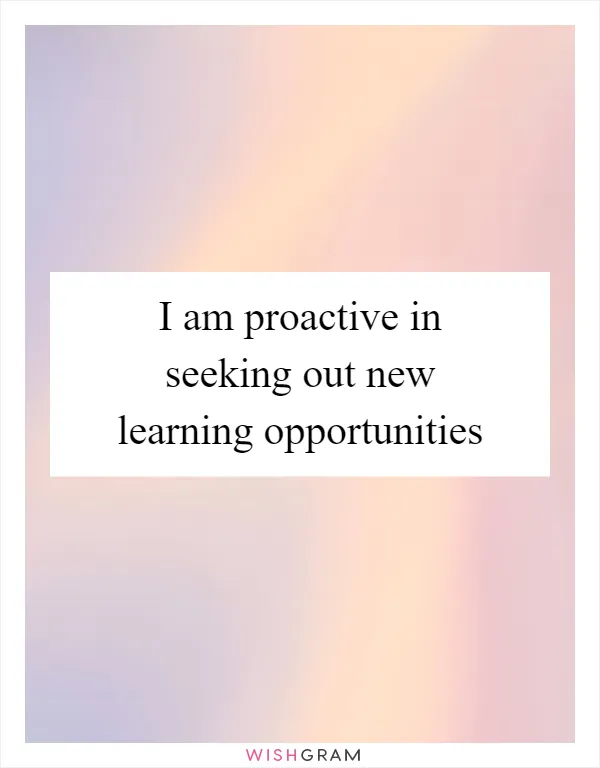I am proactive in seeking out new learning opportunities
