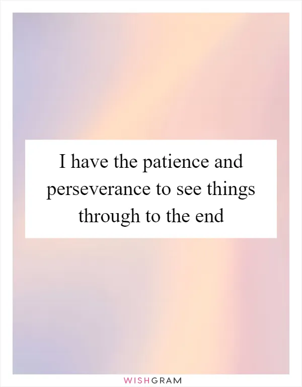 I have the patience and perseverance to see things through to the end