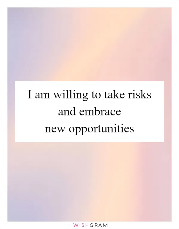 I am willing to take risks and embrace new opportunities