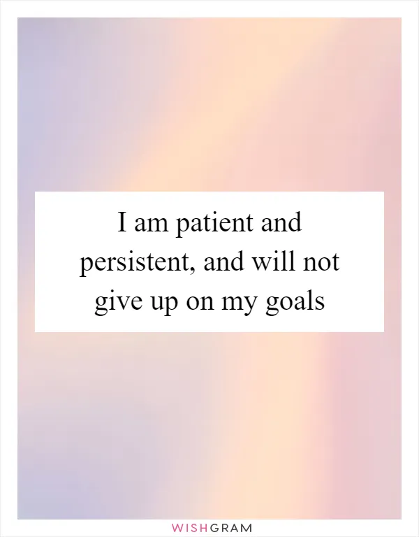 I am patient and persistent, and will not give up on my goals