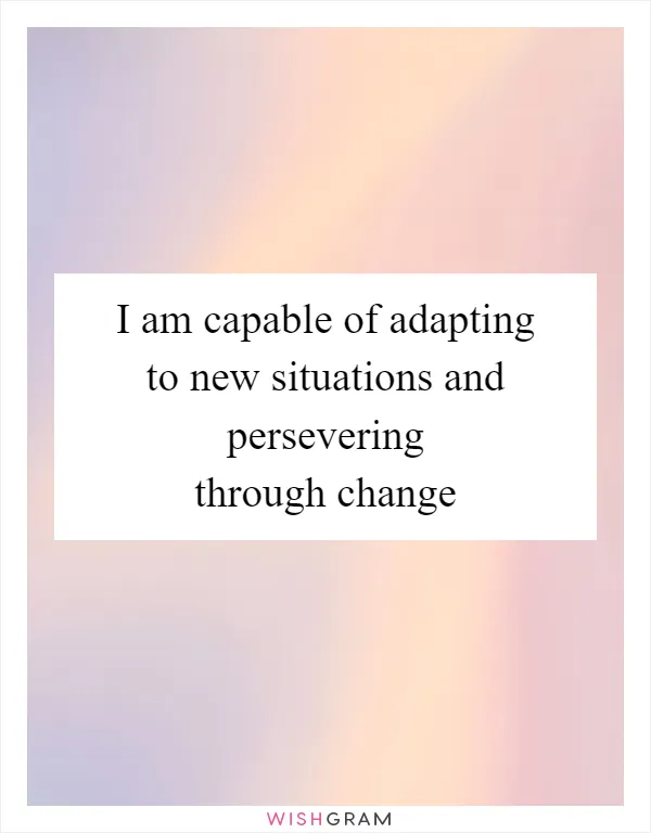 I am capable of adapting to new situations and persevering through change