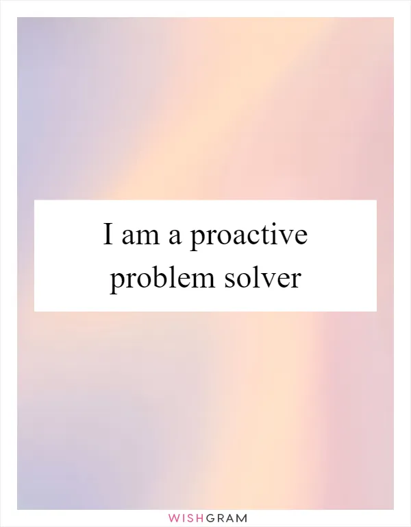 I am a proactive problem solver