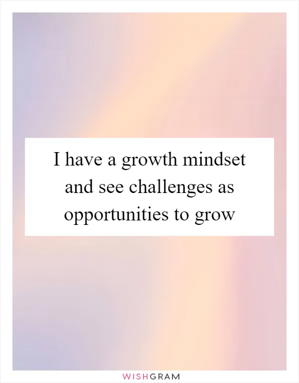 I have a growth mindset and see challenges as opportunities to grow
