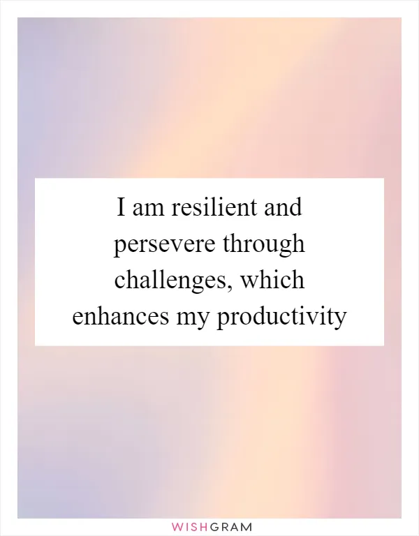 I am resilient and persevere through challenges, which enhances my productivity