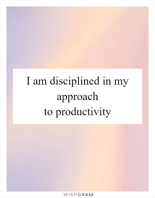 I am disciplined in my approach to productivity