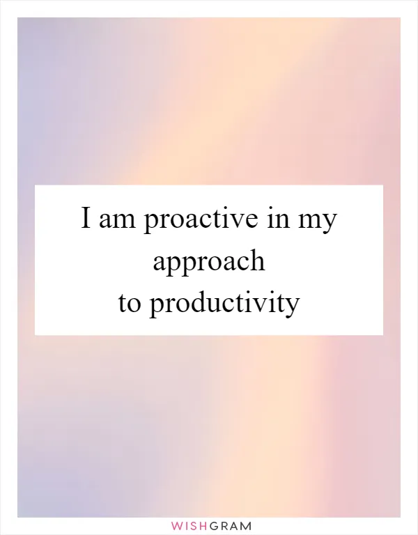 I am proactive in my approach to productivity