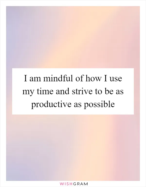 I am mindful of how I use my time and strive to be as productive as possible