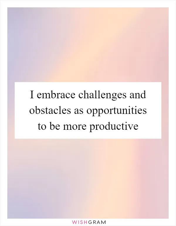 I embrace challenges and obstacles as opportunities to be more productive