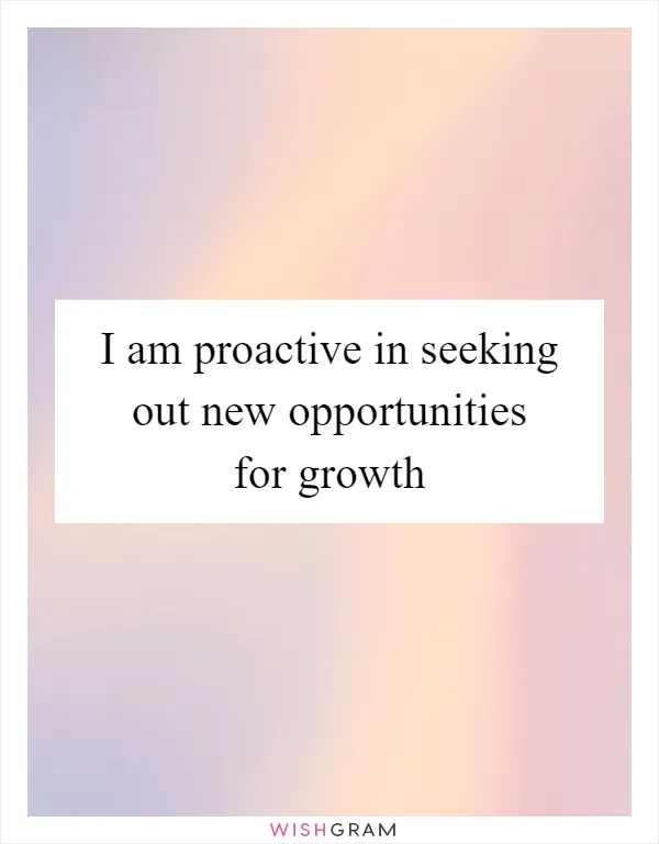 I am proactive in seeking out new opportunities for growth