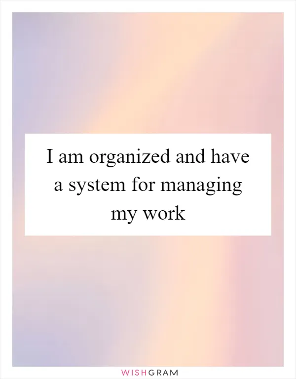 I am organized and have a system for managing my work