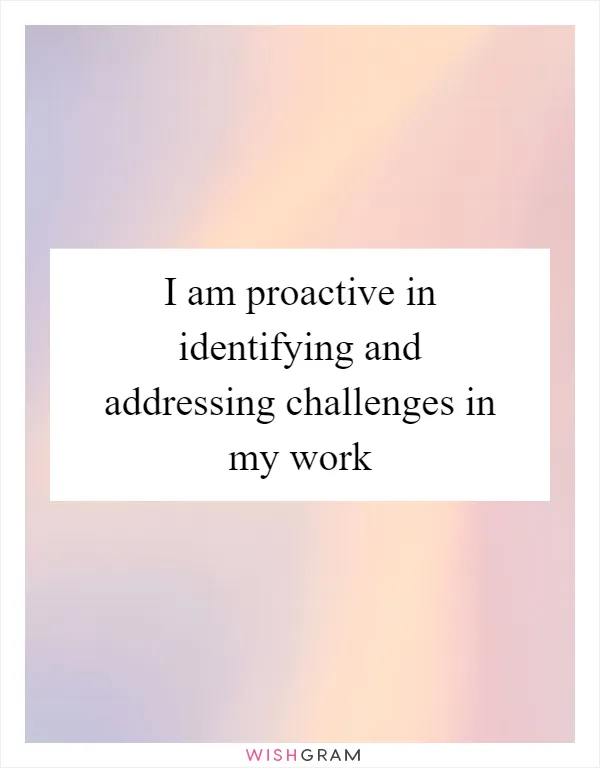 I am proactive in identifying and addressing challenges in my work