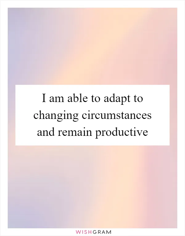 I am able to adapt to changing circumstances and remain productive