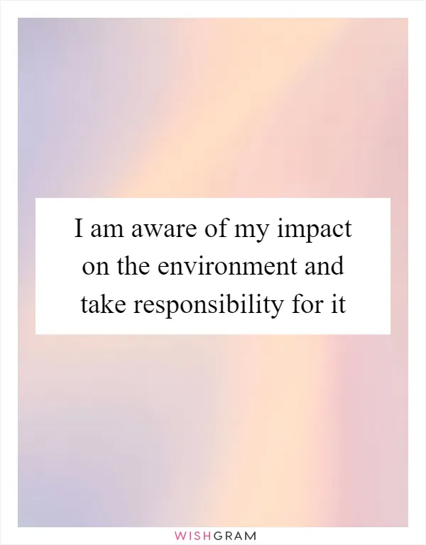 I am aware of my impact on the environment and take responsibility for it