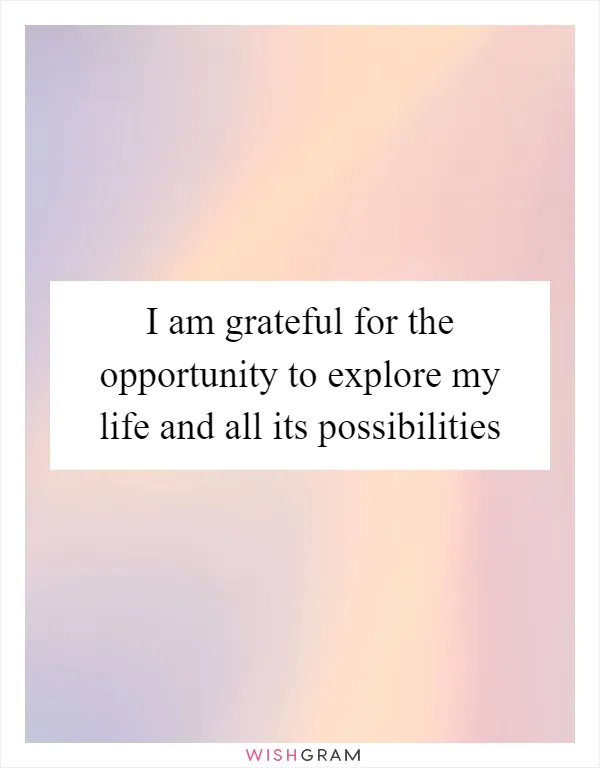 I am grateful for the opportunity to explore my life and all its possibilities