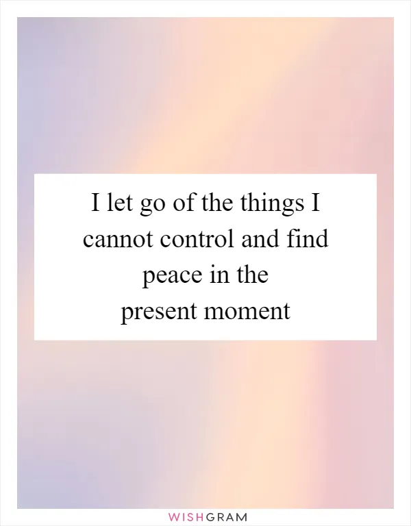 I let go of the things I cannot control and find peace in the present moment