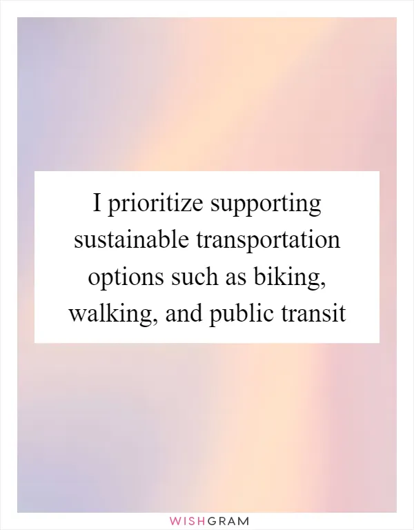 I prioritize supporting sustainable transportation options such as biking, walking, and public transit