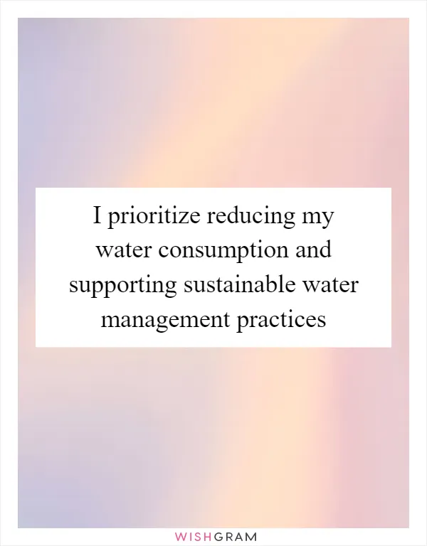 I prioritize reducing my water consumption and supporting sustainable water management practices