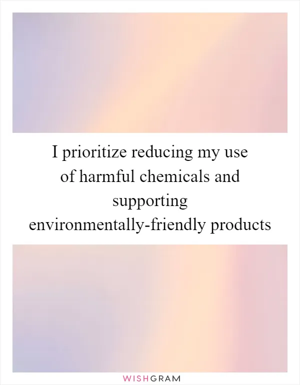 I prioritize reducing my use of harmful chemicals and supporting environmentally-friendly products