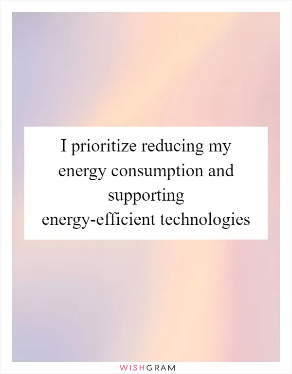 I prioritize reducing my energy consumption and supporting energy-efficient technologies