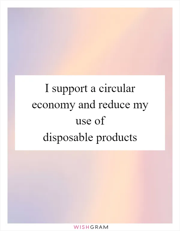 I support a circular economy and reduce my use of disposable products