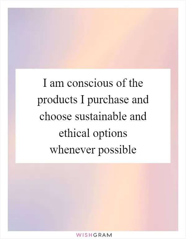 I am conscious of the products I purchase and choose sustainable and ethical options whenever possible