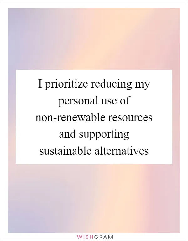 I prioritize reducing my personal use of non-renewable resources and supporting sustainable alternatives