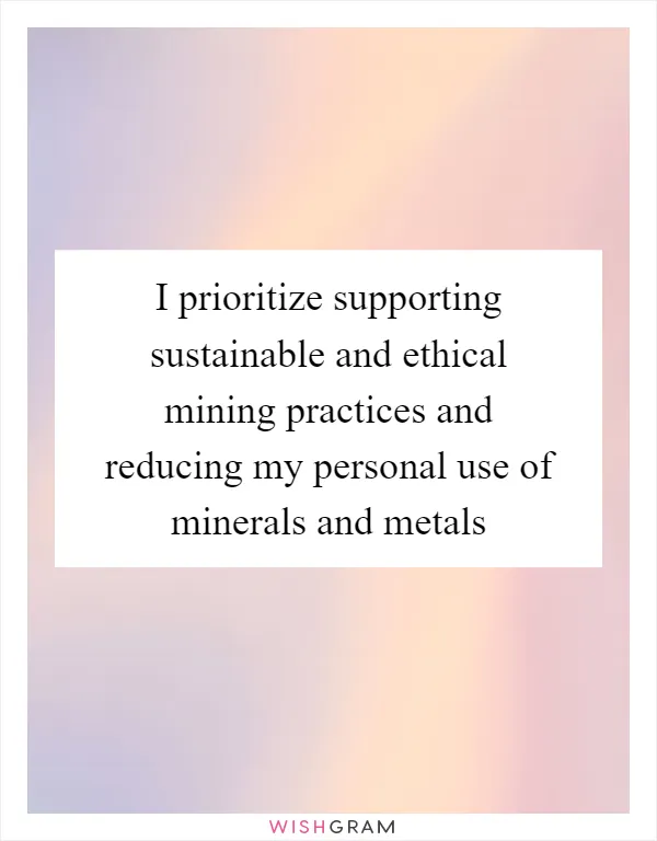 I prioritize supporting sustainable and ethical mining practices and reducing my personal use of minerals and metals