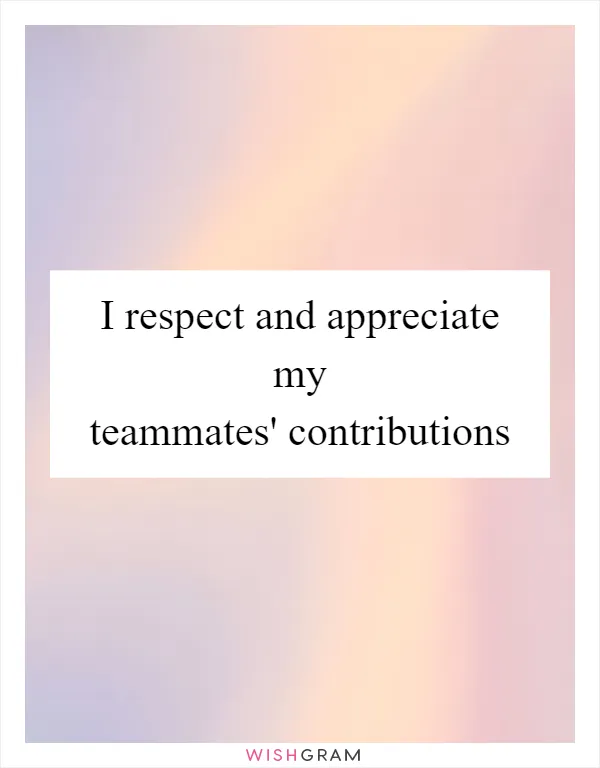 I respect and appreciate my teammates' contributions