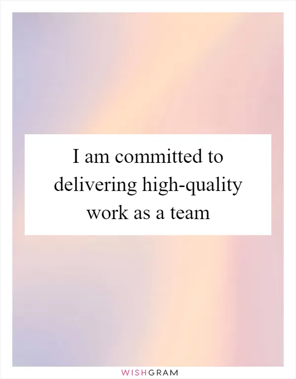 I am committed to delivering high-quality work as a team