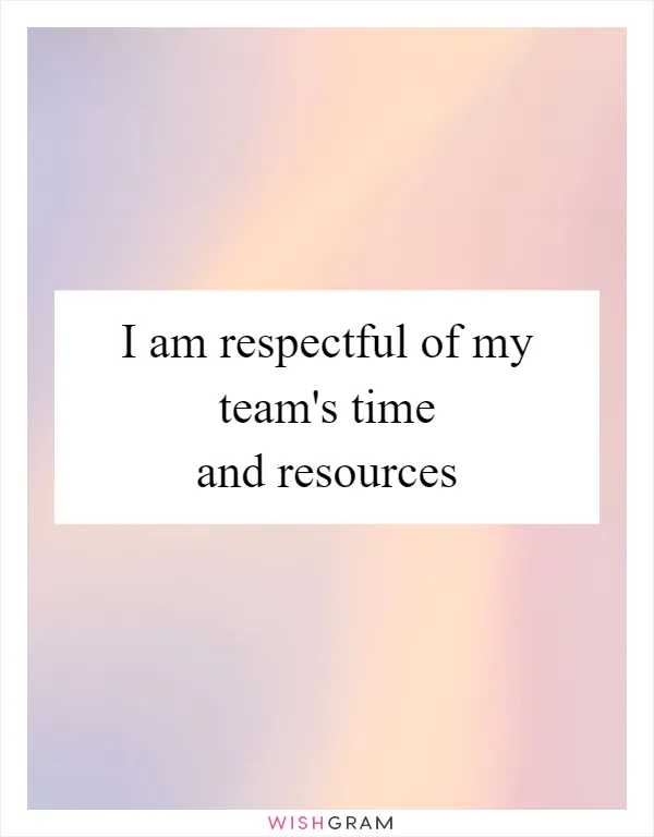 I am respectful of my team's time and resources