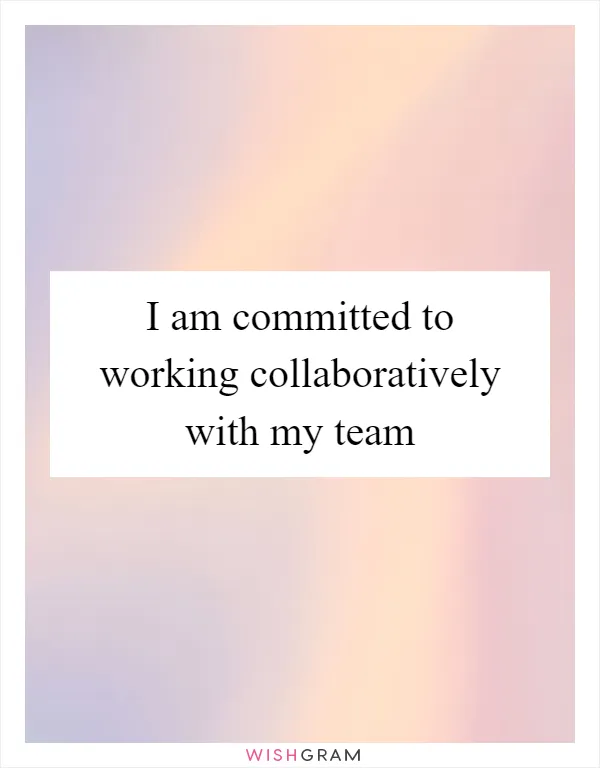 I am committed to working collaboratively with my team