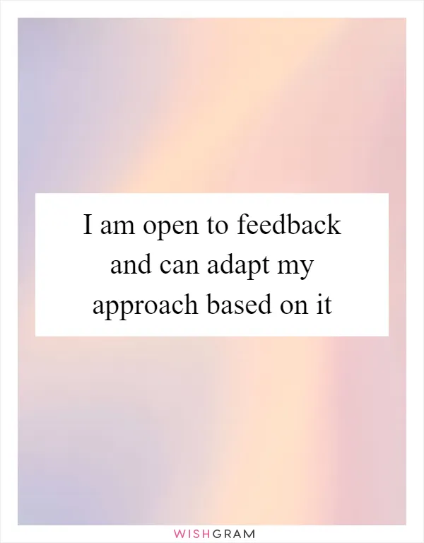 I am open to feedback and can adapt my approach based on it