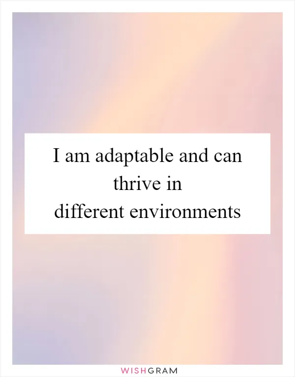 I am adaptable and can thrive in different environments