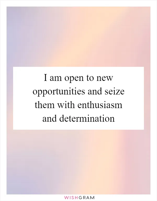 I am open to new opportunities and seize them with enthusiasm and determination