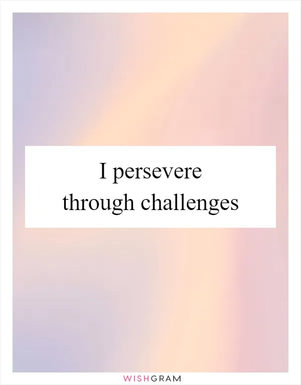 I persevere through challenges