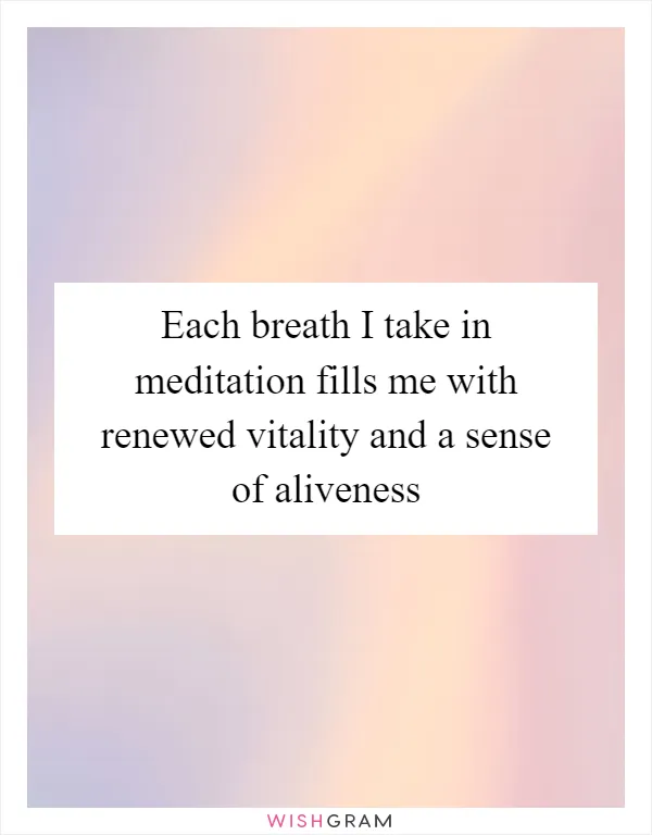 Each breath I take in meditation fills me with renewed vitality and a sense of aliveness