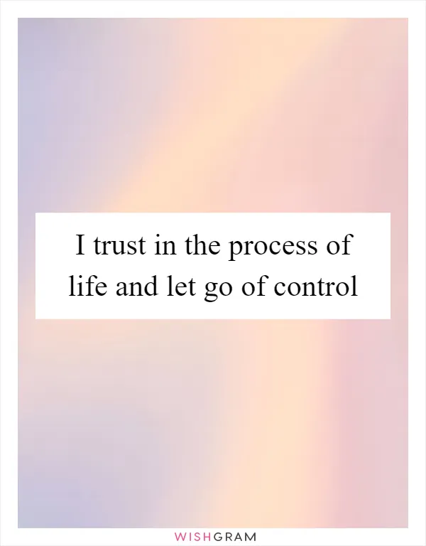I trust in the process of life and let go of control