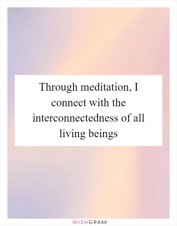 Through meditation, I connect with the interconnectedness of all living beings