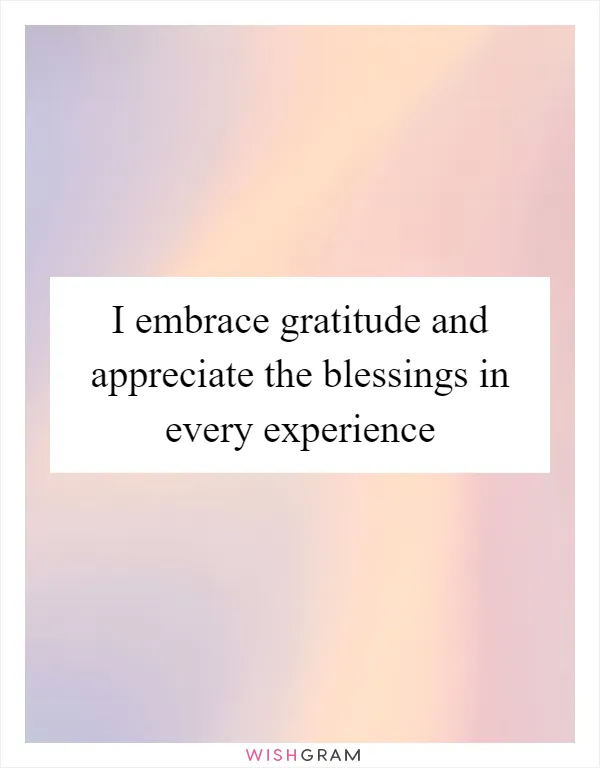 I embrace gratitude and appreciate the blessings in every experience