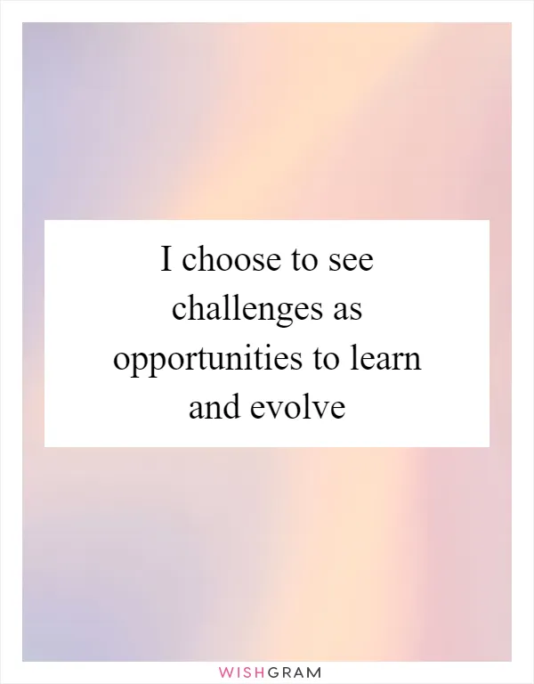 I choose to see challenges as opportunities to learn and evolve