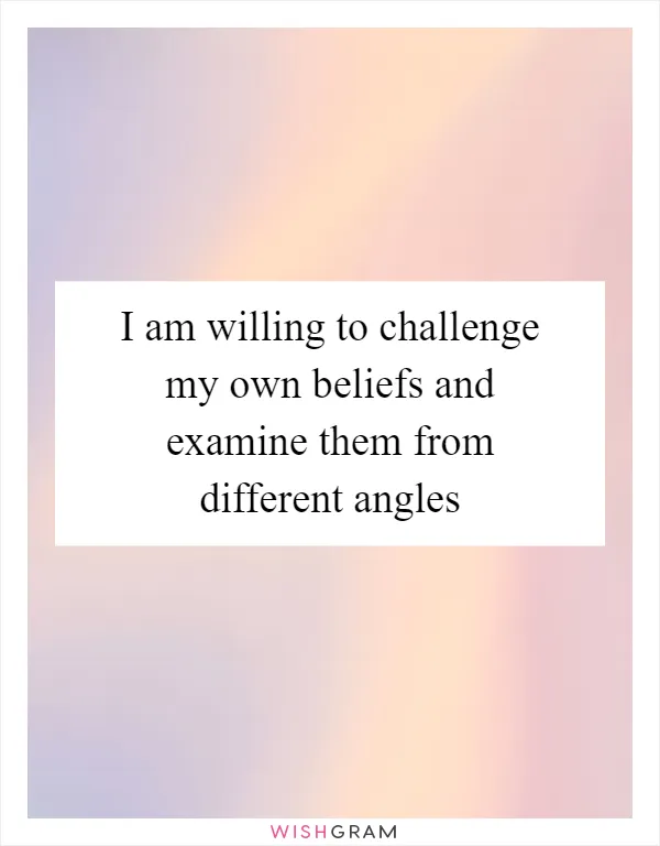 I am willing to challenge my own beliefs and examine them from different angles