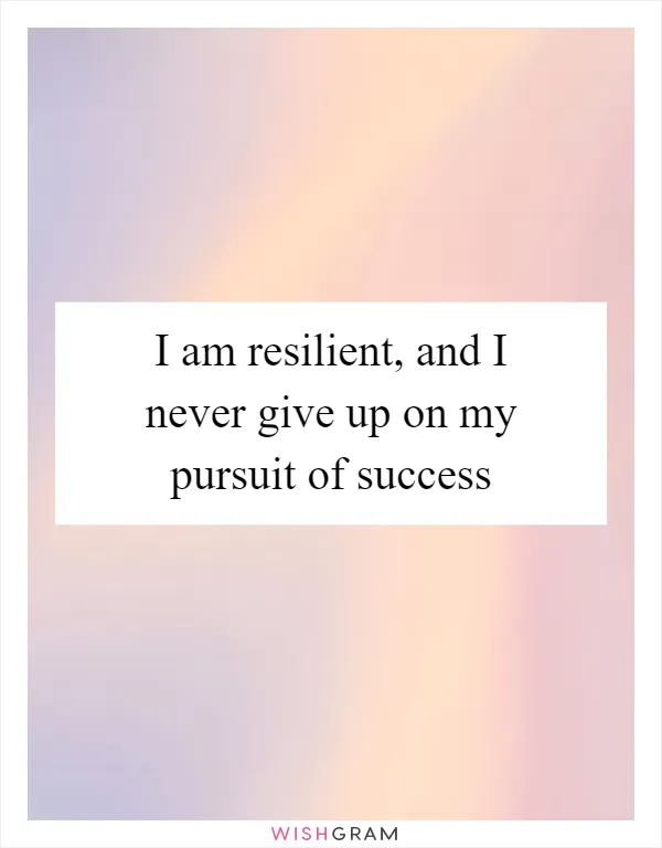 I am resilient, and I never give up on my pursuit of success