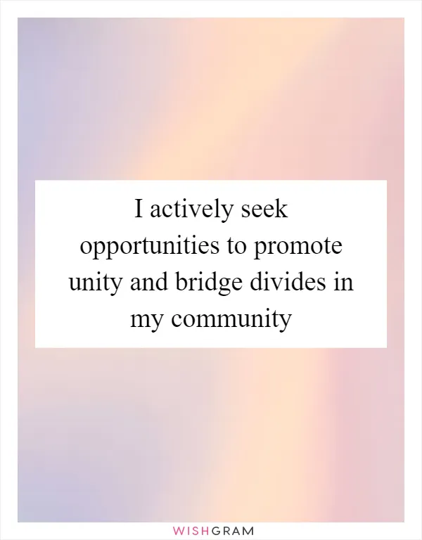 I actively seek opportunities to promote unity and bridge divides in my community